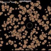 Asteroids Caught By The Gravitational Field Of A Black Hole XNA Windows Phone