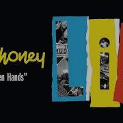 Mudhoney Broken Hands