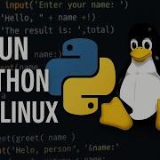 How To Run A Python Script On Linux Execute Python Scripts On Linux Ubuntu NCX Tech