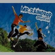 MR RAINDROP