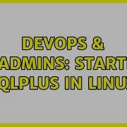DevOps SysAdmins Starting SQLPlus In Linux 2 Solutions