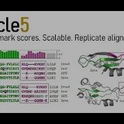 Multiple Alignment Ensembles In Muscle V5