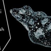 Houdini Dual Mesh