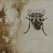 Karnivool Mauseum Instrumental
