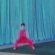 Chang Quan Guiding 2