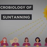 Evo Ed The Microbiology Of Suntanning