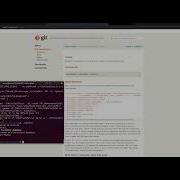 SQLancer Using Git Bisect To Identify In Which Version A Regression Bug Was Introduced