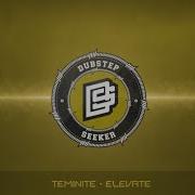 DRUMSTEP Teminite Elevate