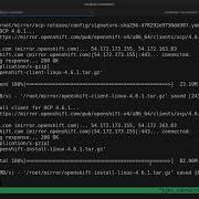 OpenShift 4 Disconnected Part 1 Content Mirror And Cluster Install