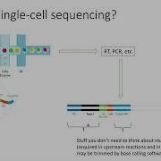 Single Cell Sequencing Explained In 2 Minutes