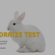 Skin Draize Test LRDP Laboratory