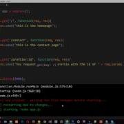 Учебник Node JS для начинающих 24 Параметры Express Route
