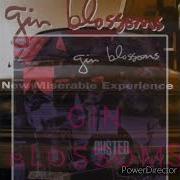 Gin Blossoms Until I Fall Away Nightcore