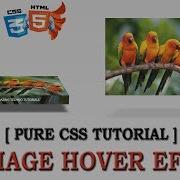 3d Image Hover Effects Css Cool Css Effects 2018 Pure Css Tutorial