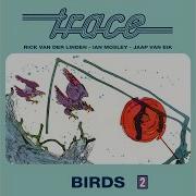 King Bird Live 1975