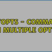 Getopts Command With Multiple Options