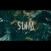 SLIM GUSLI 2 Гайки 2017