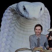 King Cobra The Best Pet Snake The Most DANGEROUS Day Of My Life
