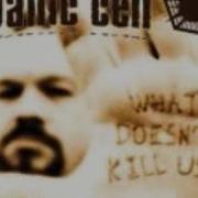 Panic Cell Forced Down