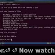 Vim Tutorial How To Delete A Text