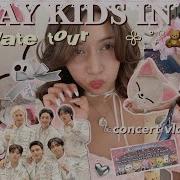 Stray Kids DOMINATE Tour Vlog Vip Experience Grwm Fancams Freebies Merch Haul