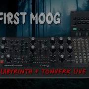 MOOG Labyrinth Tonverk мой первый MOOG и первый хаос LIVE