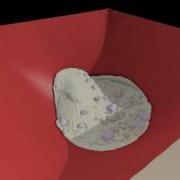 Universal Solver Stress Test