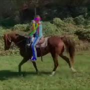 Post Estimation While Riding A Horse Open Pose