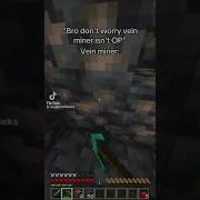 Don T Worry Vein Miner Isn T OP Vein Miner Memes Minecraft