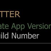 Update Flutter App Version And Build Number Android IOS