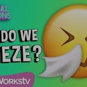 Why Do You Sneeze COLOSSAL QUESTIONS