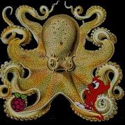 Shellcode For FreeBSD And Raspberry Pi OS