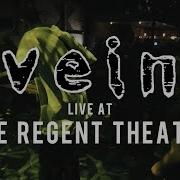 Vein FULL SET HD 07 06 18 Live The Regent Theater