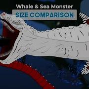 Whale Fish And Sea Monster Size Comparison