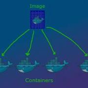Software Of America Docker Container With Python Script