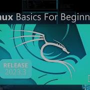 Основы Kali Linux для начинающих Учебное пособие 2023 2024
