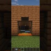 Minecraft Mob Proof Door