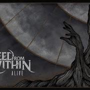 Bleed From Within Alive Lyrics