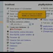 Inserting Fields Into Database Table With PhpMyAdmin