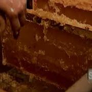 How It S Actually Made Honey