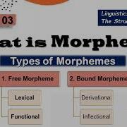 Morpheme Types Of Morphemes Free Morphemes Bound Morphemes