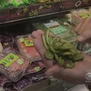 Tip Of The Day Fiddlehead Ferns