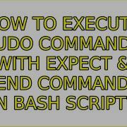 How To Execute Sudo Commands With Expect Send Commands In Bash Script 2 Solutions