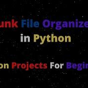 Junk File Organizer In Python