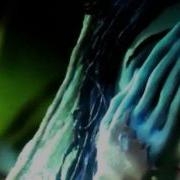Disturbia Corpse Bride AMV
