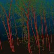 SimpleForest An Open Source Tool To Model Forestry Sceneries