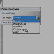 Picture Viewer In Visual Basic 2008