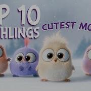 Angry Birds Top 10 Hatchlings Cutest Moments