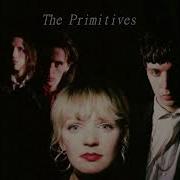CRASH The Primitives Lyrics