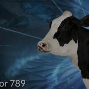 Cow Error 789